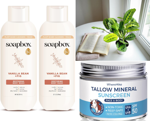 easy, everyday non-toxic swaps cover photo collage