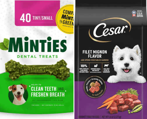 Things for my dog cover photo collage