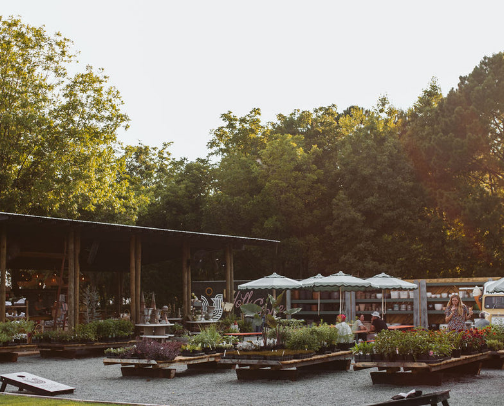 Things to do in Garner NC cover photo collage