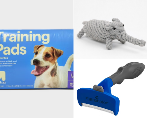 Essentials for new dog parents cover photo collage