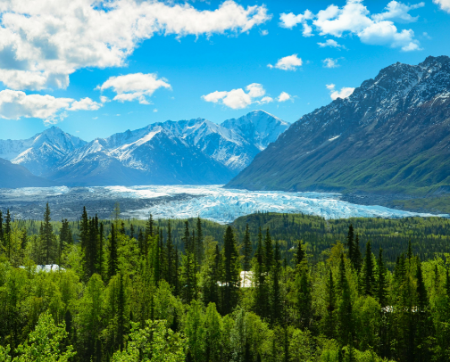 Alaskan Adventure cover photo collage