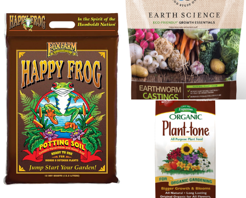 container gardening on a balcony: gardening for beginners cover photo collage