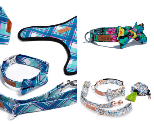 Must have dog accessories cover photo collage