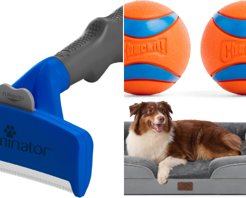 Pet Essentials Every Cat and Dog Owner Actually Needs cover photo collage