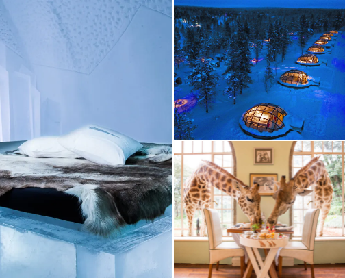 Some of the stranges hotels in the world. cover photo collage