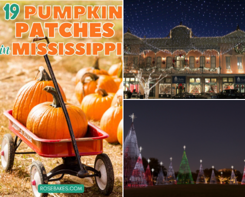 Holiday activities for families (Mississippi edition) cover photo collage