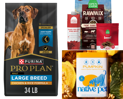 You just got a puppy…now what? cover photo collage