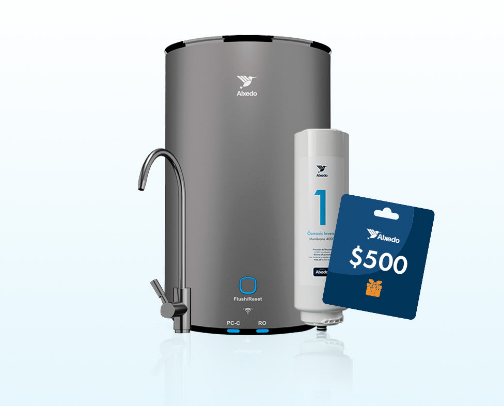 Essentials for Living in Mexico City cover photo collage