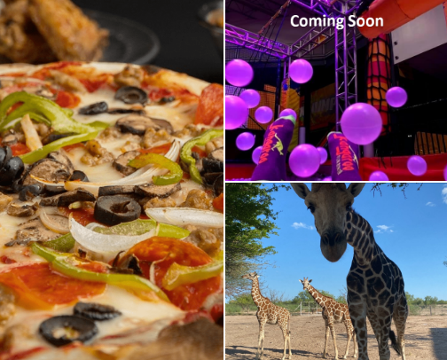 Things to do in Laredo, TX cover photo collage