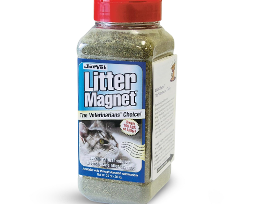 Crazy Cat Lady 🐾 Feline Favorites cover photo collage