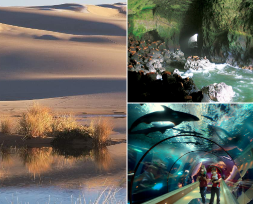 Things to do on the Oregon Coast cover photo collage