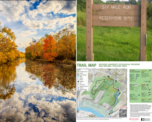 Hot Girl Walks in Central New Jersey cover photo collage