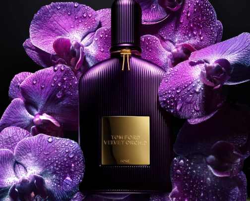 The Best Cologne For Men!! cover photo collage