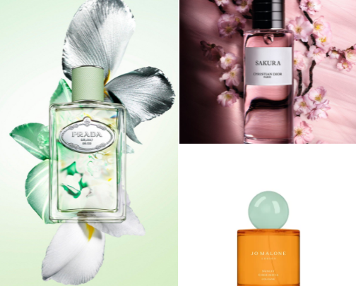 so you wanna smell good cover photo collage