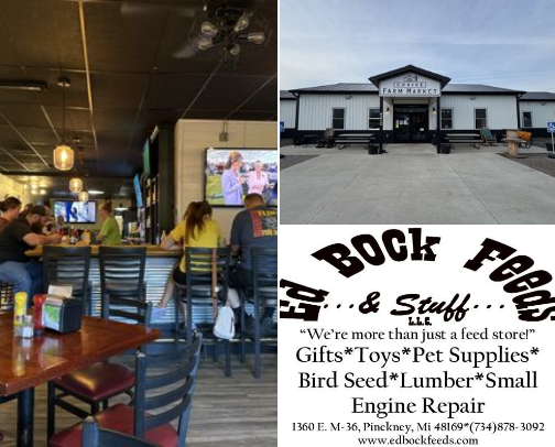 My top Fowlerville recs cover photo collage