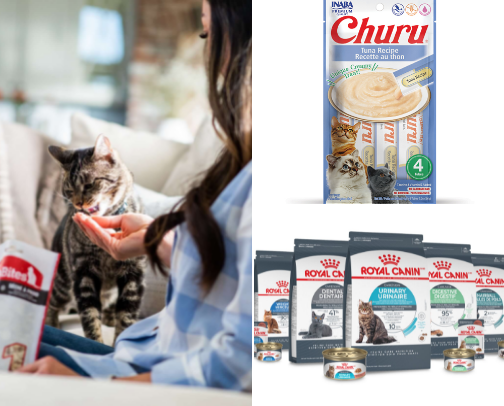 Pet supplies! cover photo collage