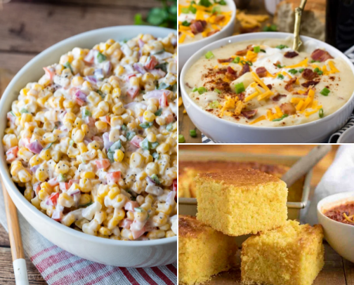 My all time favorite COOKBOOKS and family favorite RECIPIES and ways to STORE leftovers! cover photo collage