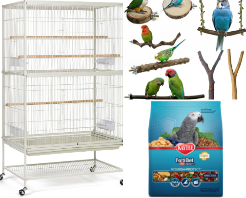 Bird & Parakeet Starter Kit Essentials: Top Amazon Picks for New Bird Owners cover photo collage