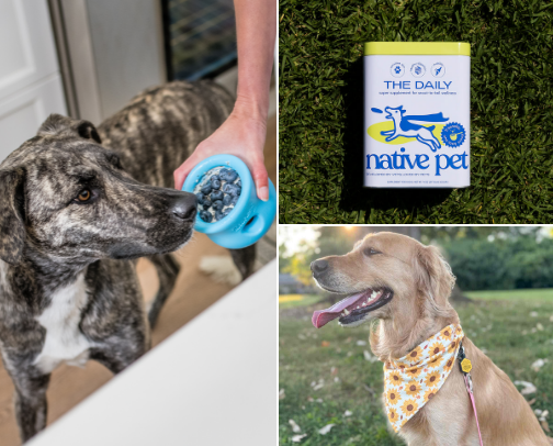Dog must-haves | from golden retriever dog mom cover photo collage