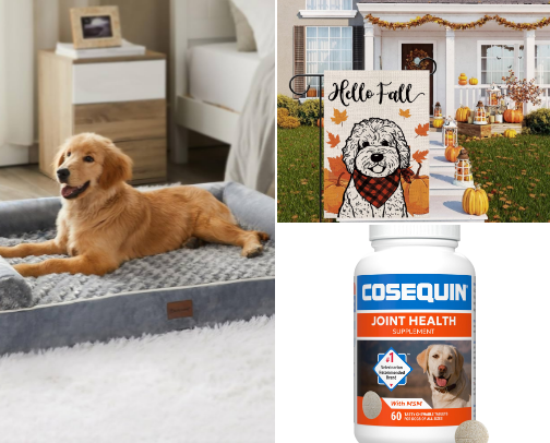 Our Top Dog Must Have’s! cover photo collage