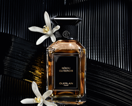 Everyday Fragrance Favorites cover photo collage