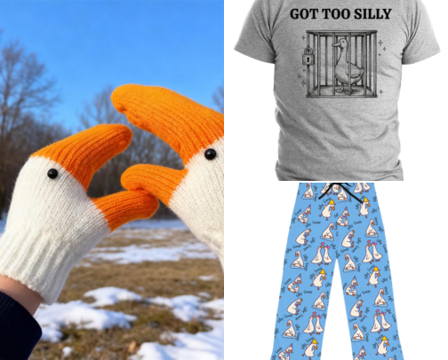 Goose 🪿 merch cover photo collage