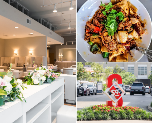 My Favorite Spots in Ardmore, PA cover photo collage