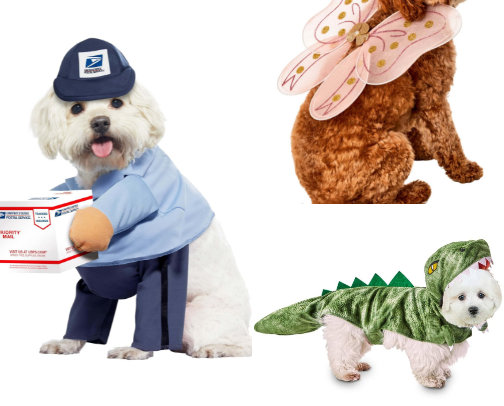 Best Halloween Dog Costumes cover photo collage