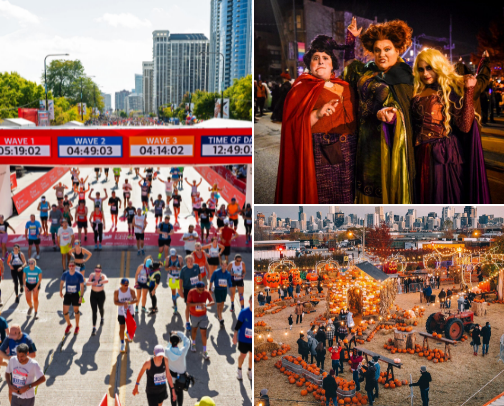 The Only Chicago Fall Events List You Need! cover photo collage