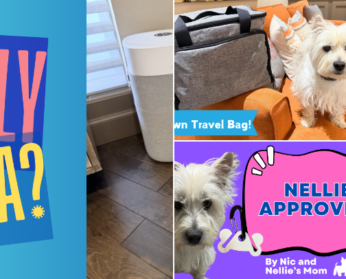 Dog Mom Survival Kit cover photo collage