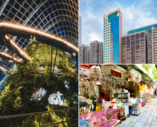 Charming hotels in Prince Edward, Hong Kong cover photo collage