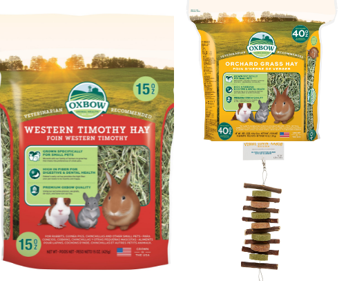 Guinea pig essentials cover photo collage