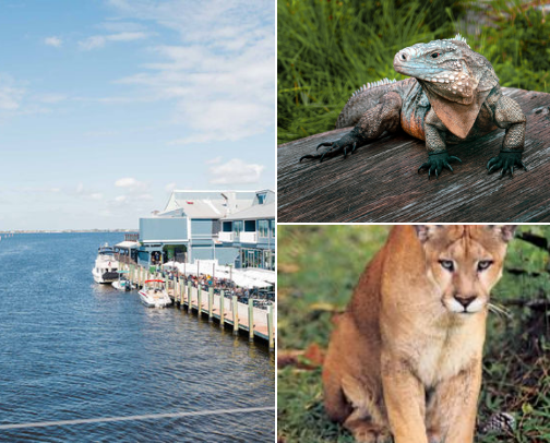 Travel Florida - Gulf Side, Away from the Crowds cover photo collage