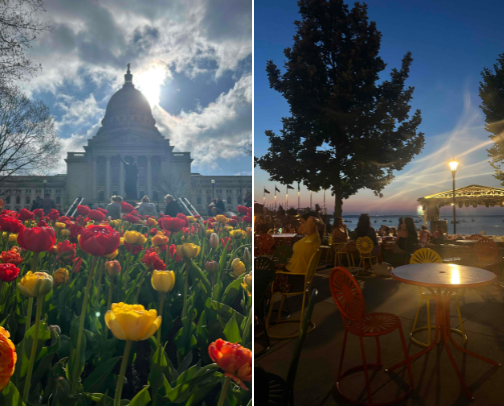 Foodie guide in the Madison, WI area cover photo collage