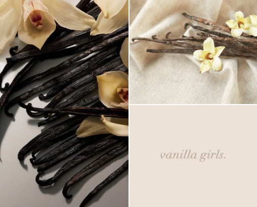 Vanilla Everything 🤍 | Vanilla Girl Essentials cover photo collage