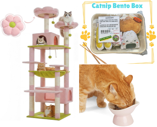 The Purrfect Cat essentials. cover photo collage