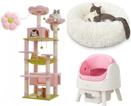 So You Got a Cat…Now What? cover photo collage