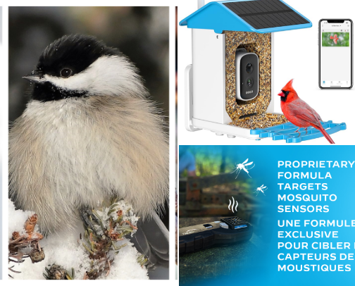 Birdwatching Fan Gifts & Thoughtful Treasures cover photo collage