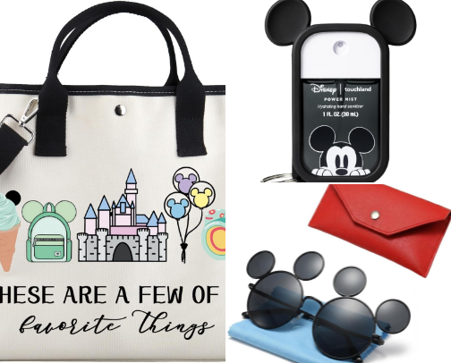 Things I bring to Disney cover photo collage