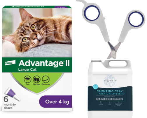 Orko & Ash's Fav Kitty Products! 🐈😻 cover photo collage