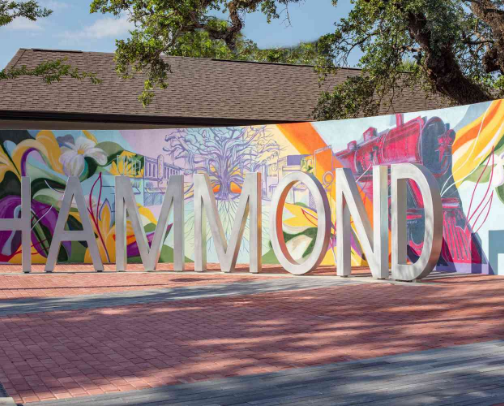 Local Love, Hammond, La cover photo collage