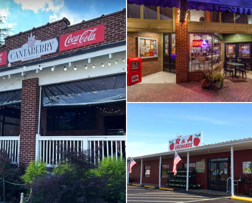 My top Ellijay recs cover photo collage