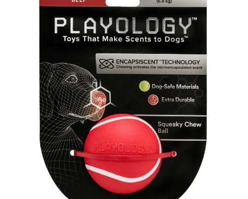 My favorite dog toys cover photo collage