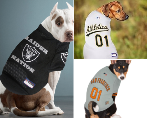 Clothing cover photo collage