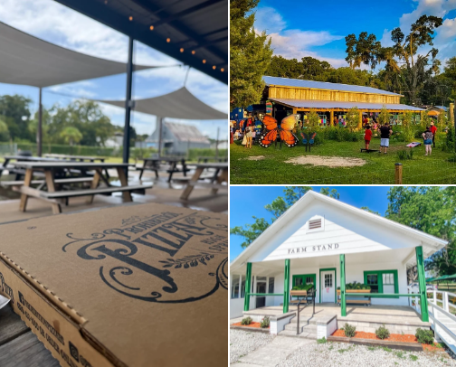 Unique places to eat in North Florida and the Panhandle cover photo collage