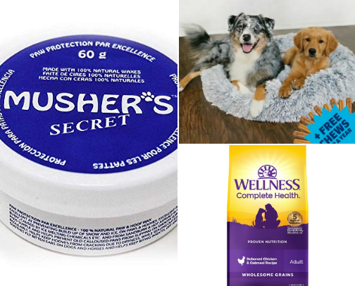 Goldendoodle Mama cover photo collage