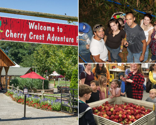Fall Fun in Central Pennsylvania: Pumpkin Patches, Orchards, and Corn Mazes cover photo collage