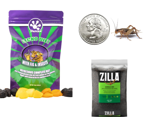Crested Gecko Must Haves! cover photo collage