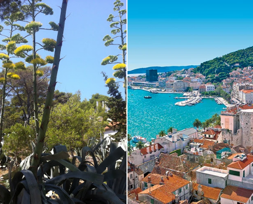Travel to Croatia and more cover photo collage