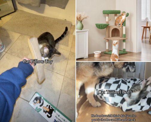 Cat products I can’t live without! cover photo collage